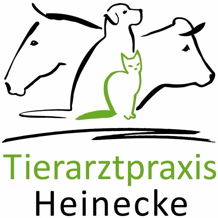 Tiere Tierärzte Branchenverzeichnis Branchenbuch Für